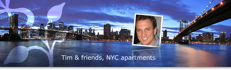 Rent an apartment in New York - rent your apartment in New York today!